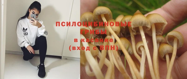 стаф Бронницы