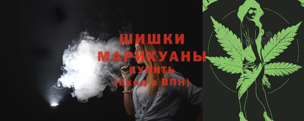 стаф Бронницы
